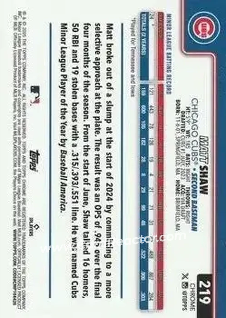 Back of Matt Shaw