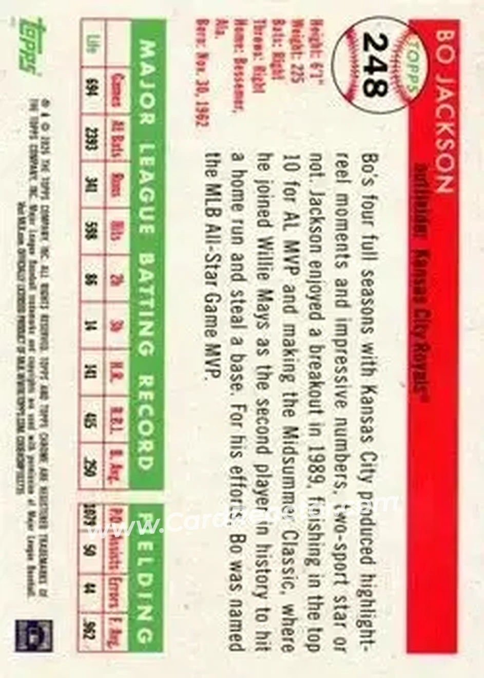 Back of Bo Jackson