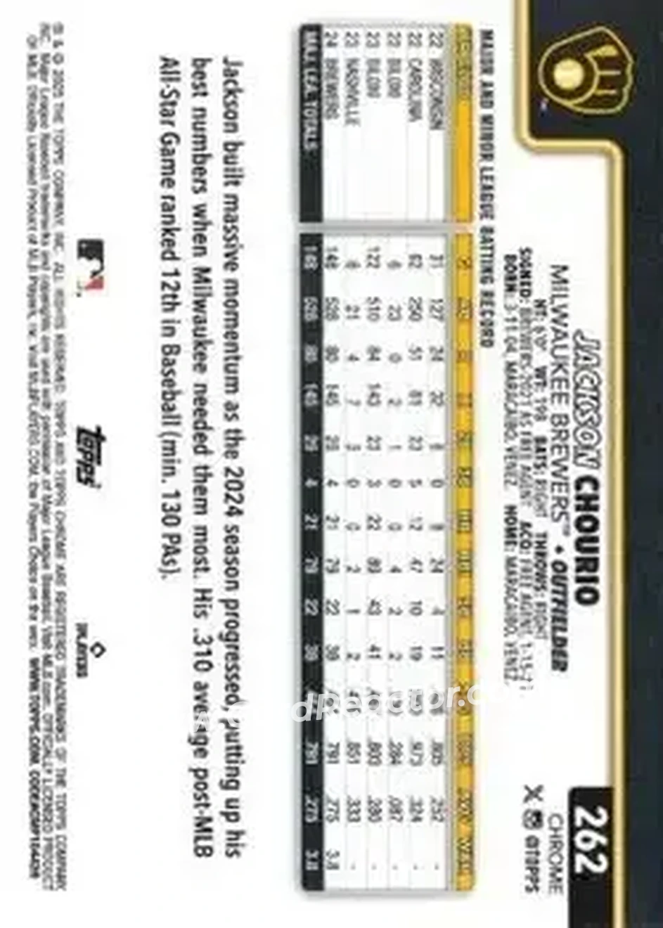 Back of Jackson Chourio