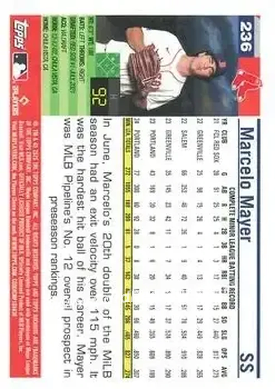 Back of Marcelo Mayer
