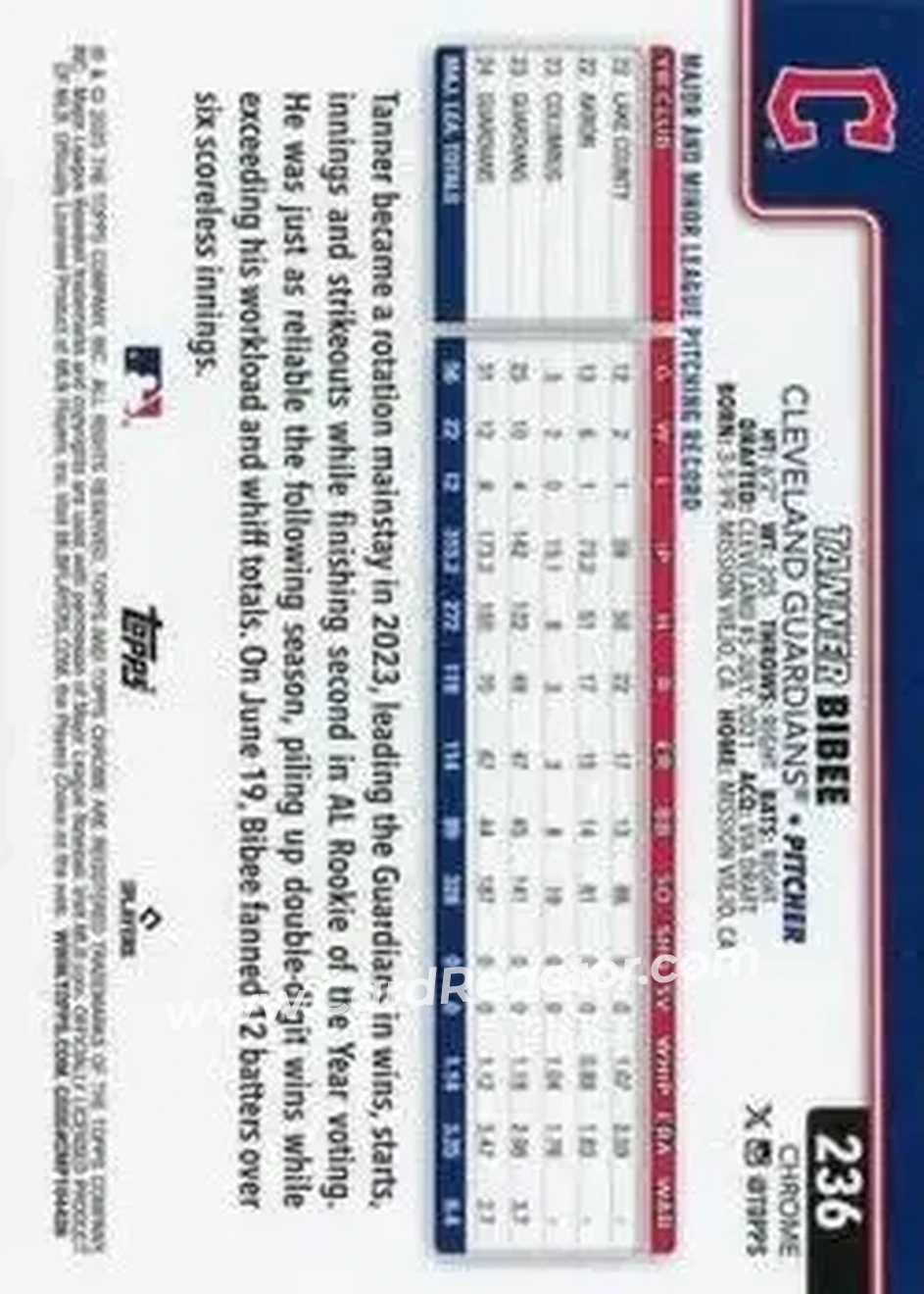 Back of Tanner Bibee