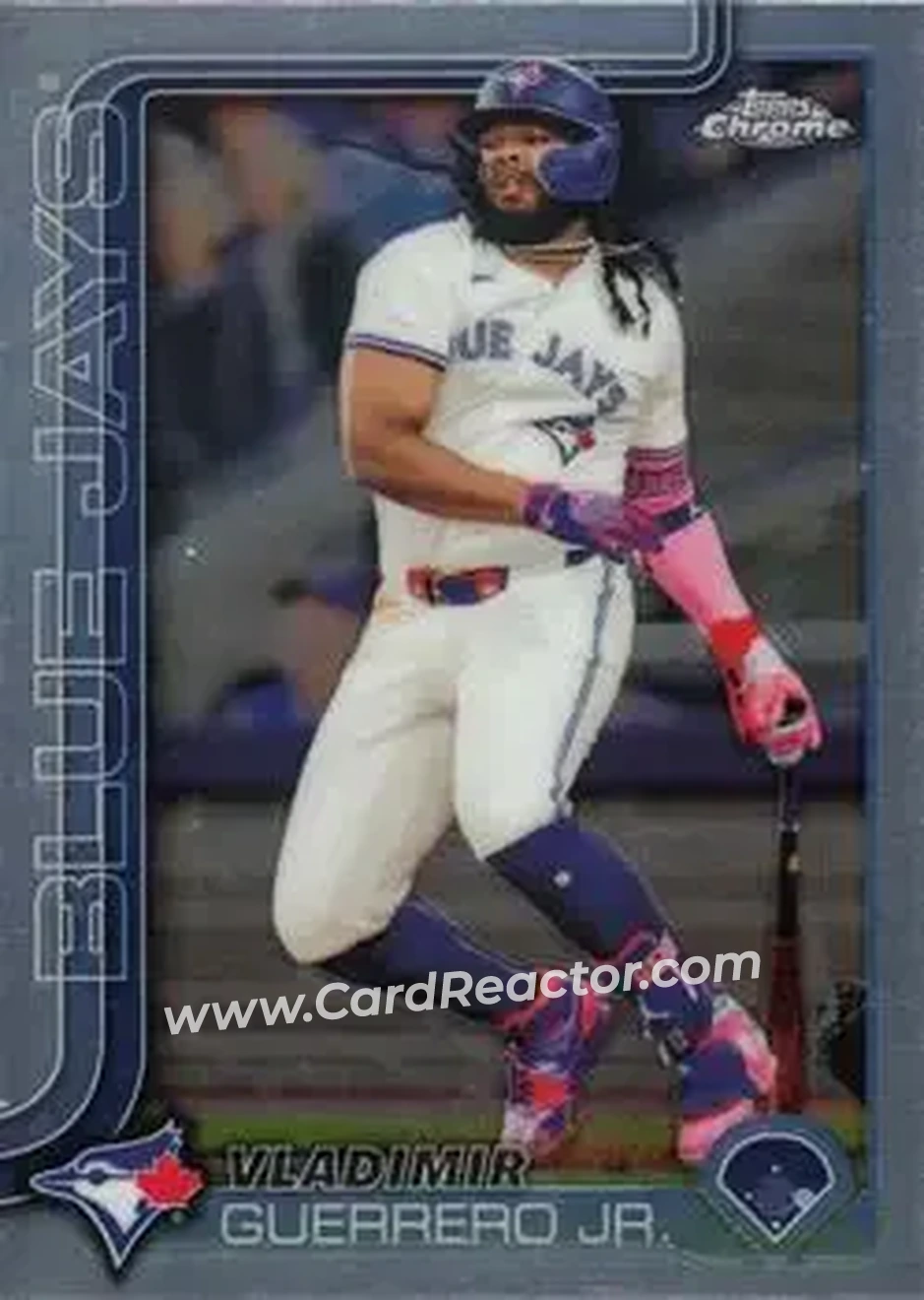 Front of Vladimir Guerrero Jr.