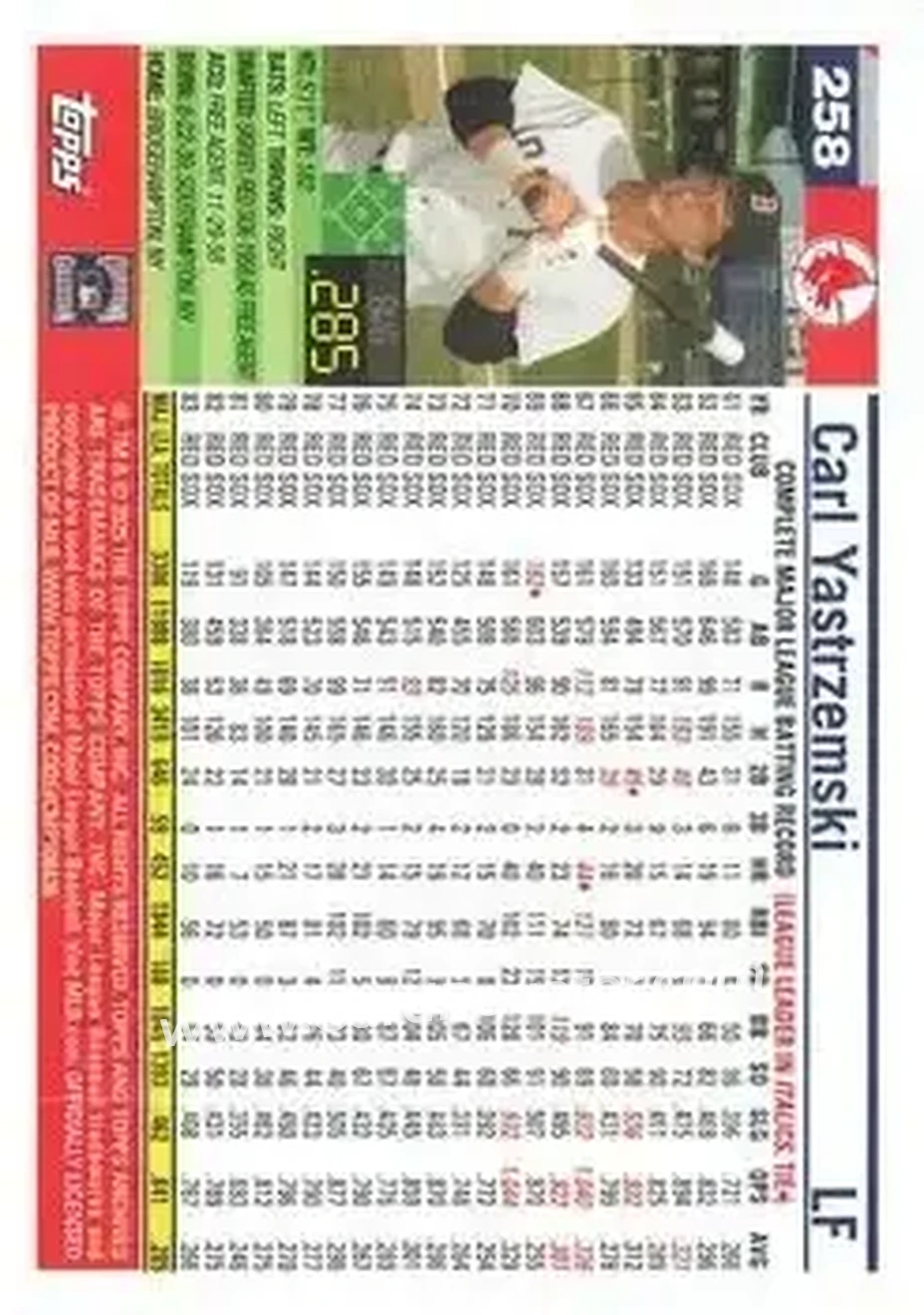 Back of Carl Yastrzemski