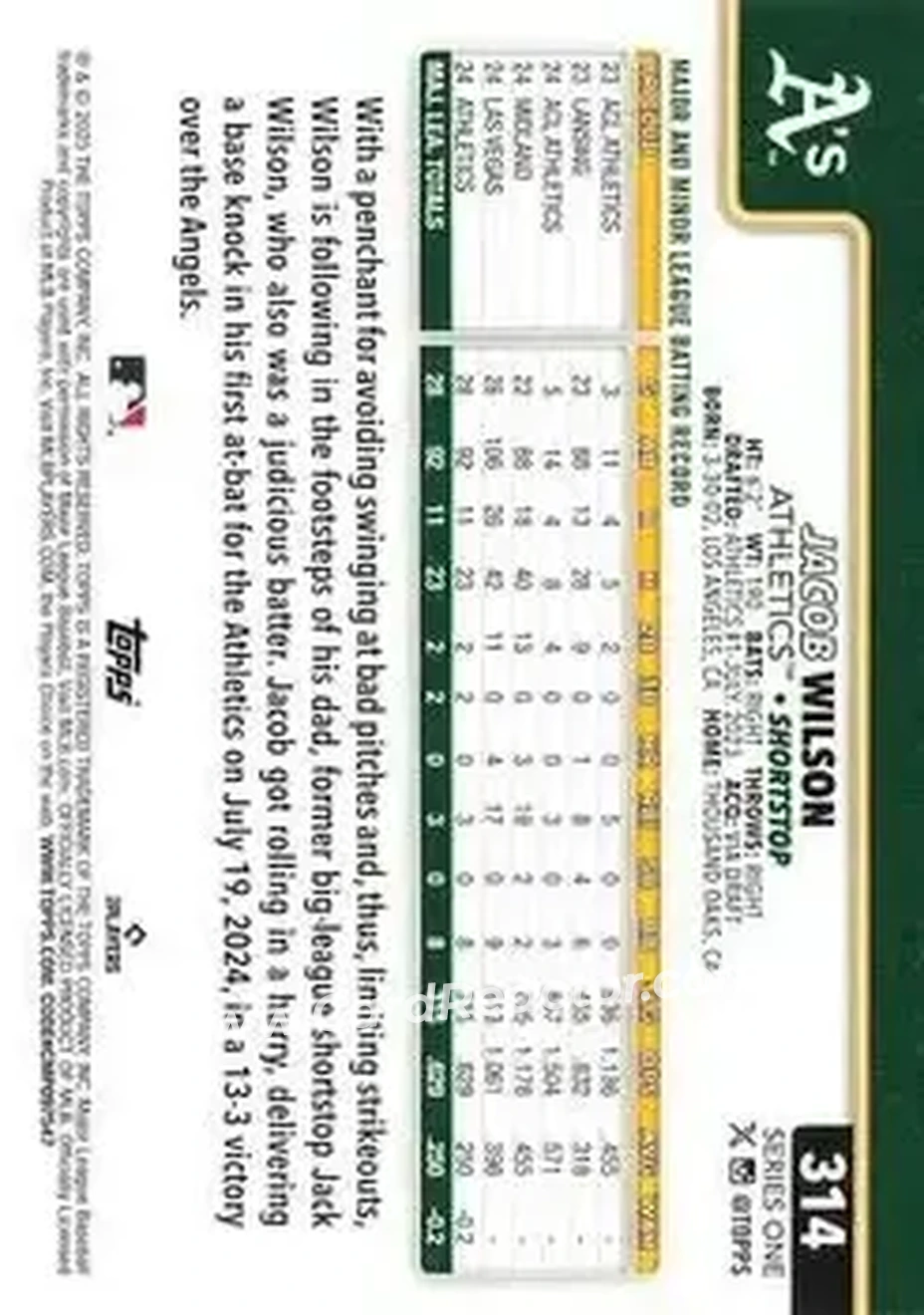 Back of Jacob Wilson