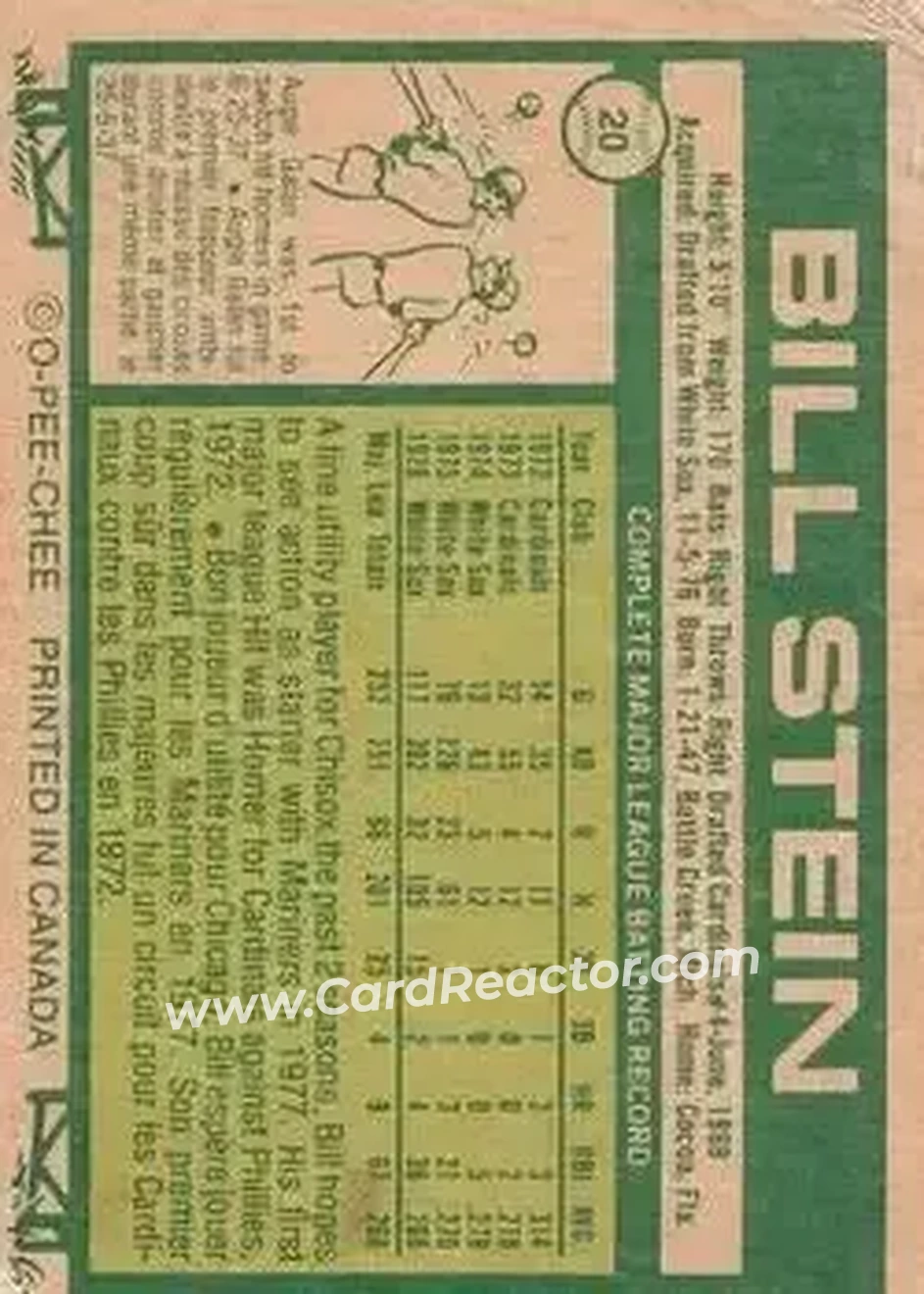 Back of Bill Stein