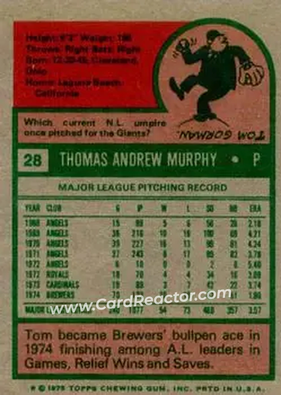 Back of Tom Murphy