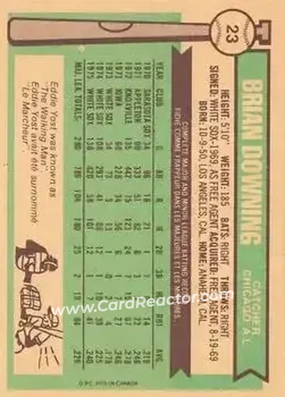 Back of Brian Downing