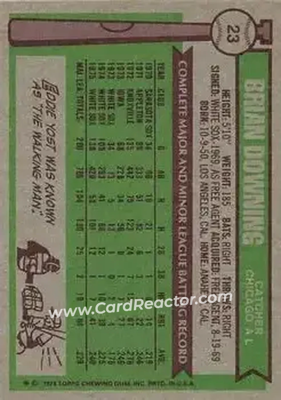 Back of Brian Downing
