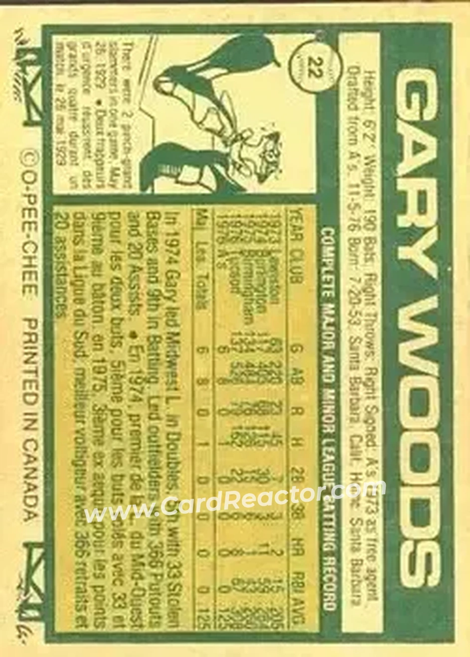 Back of Gary Woods