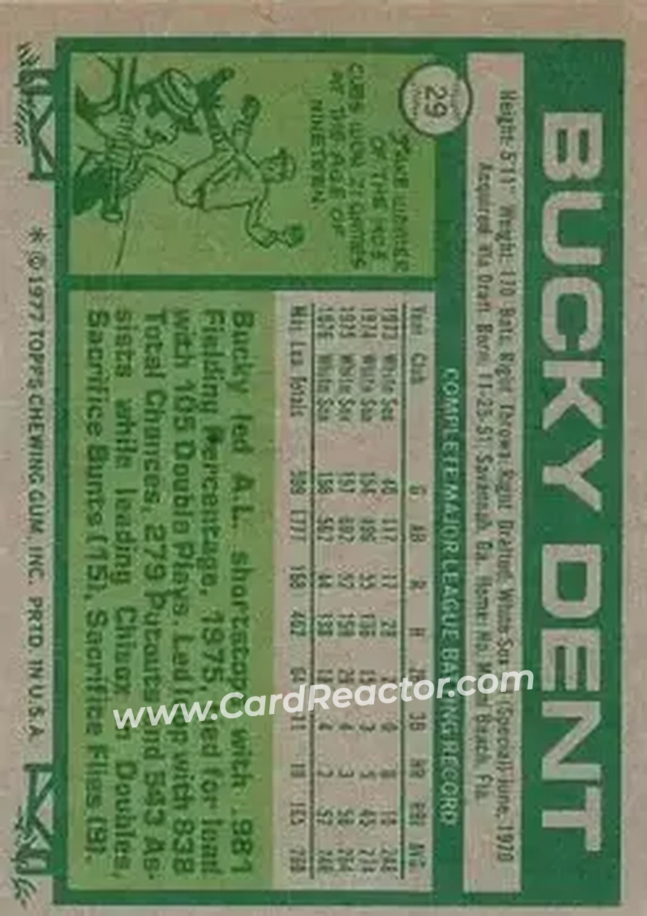 Back of Bucky Dent