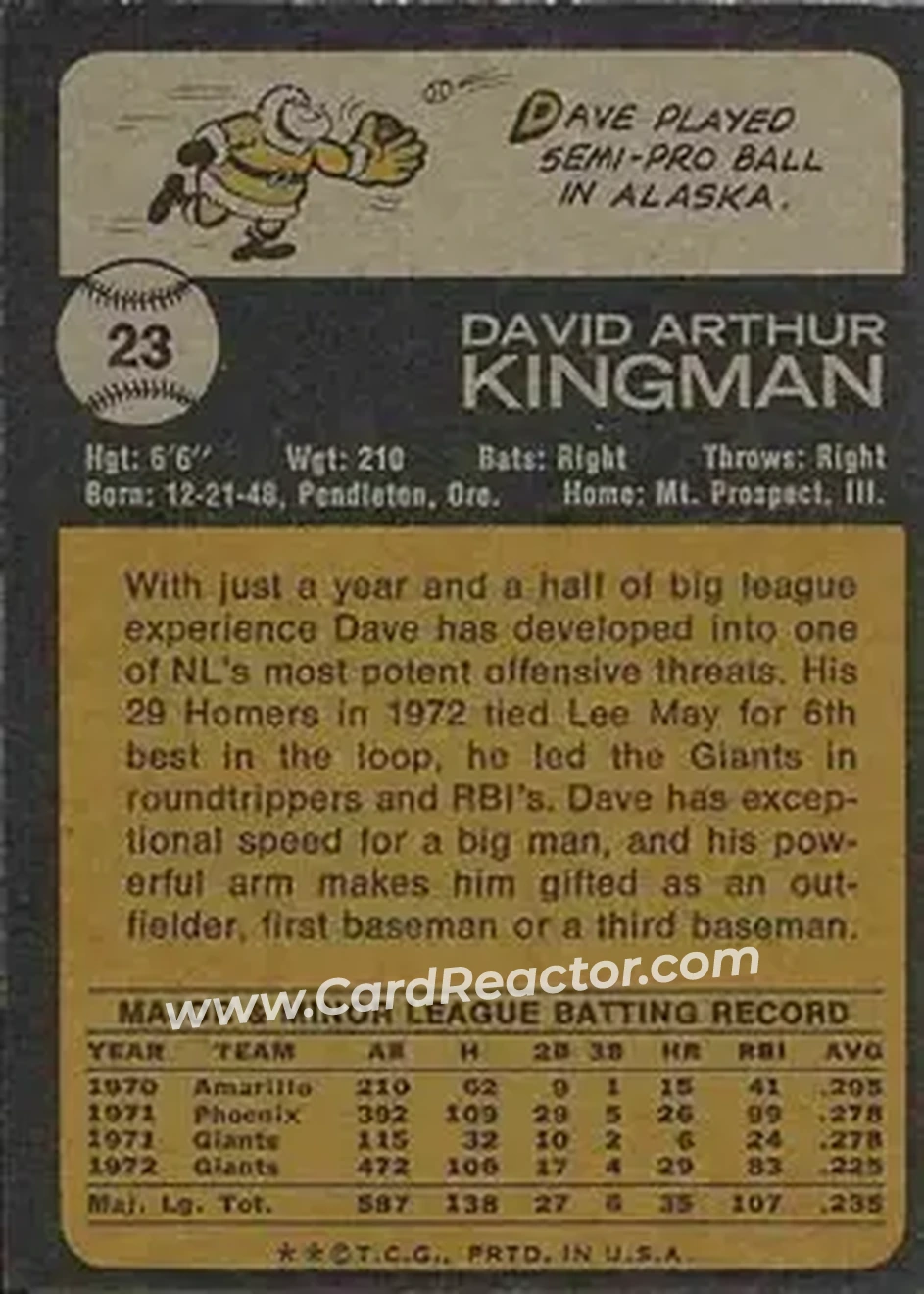 Back of Dave Kingman