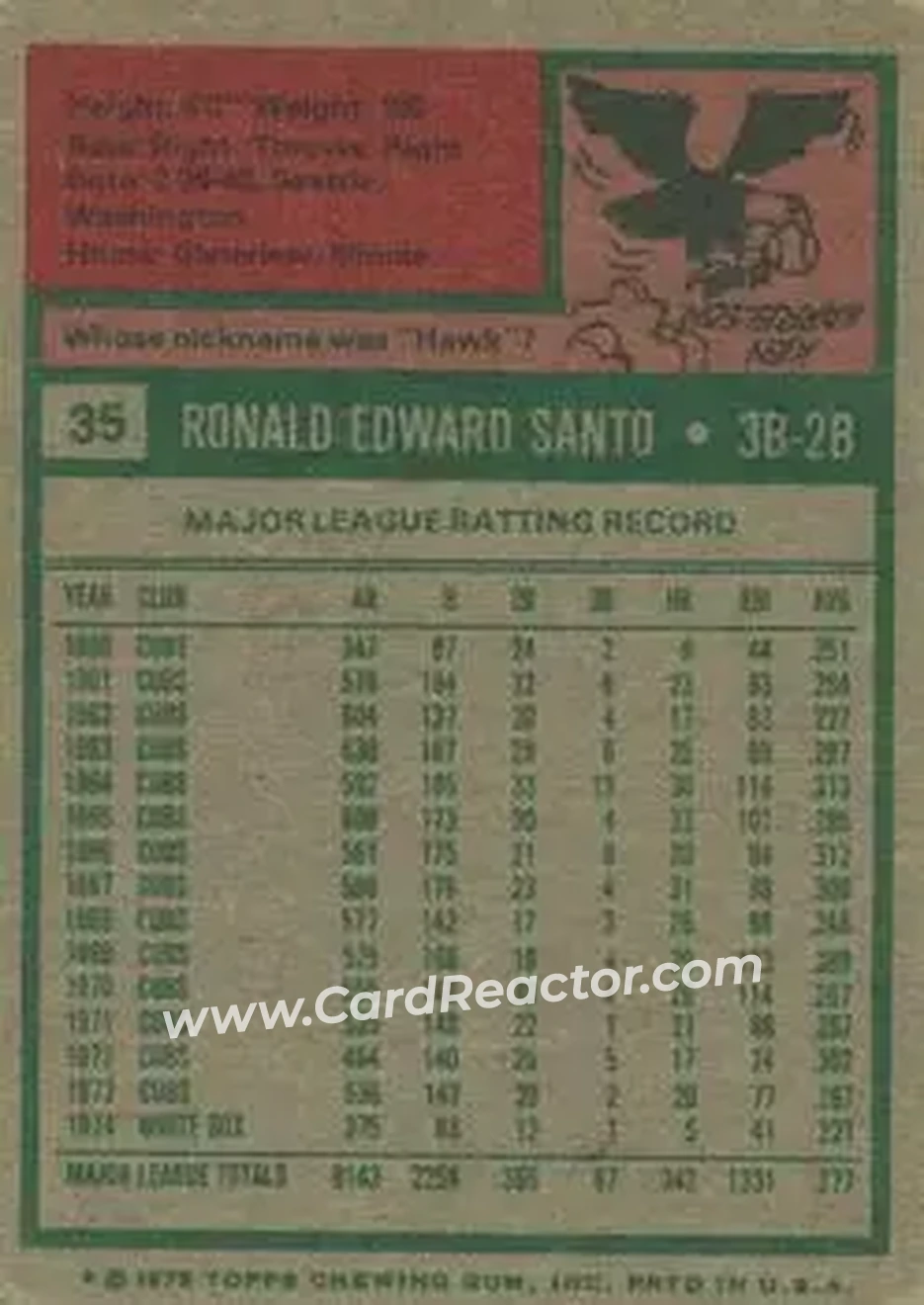 Back of Ron Santo