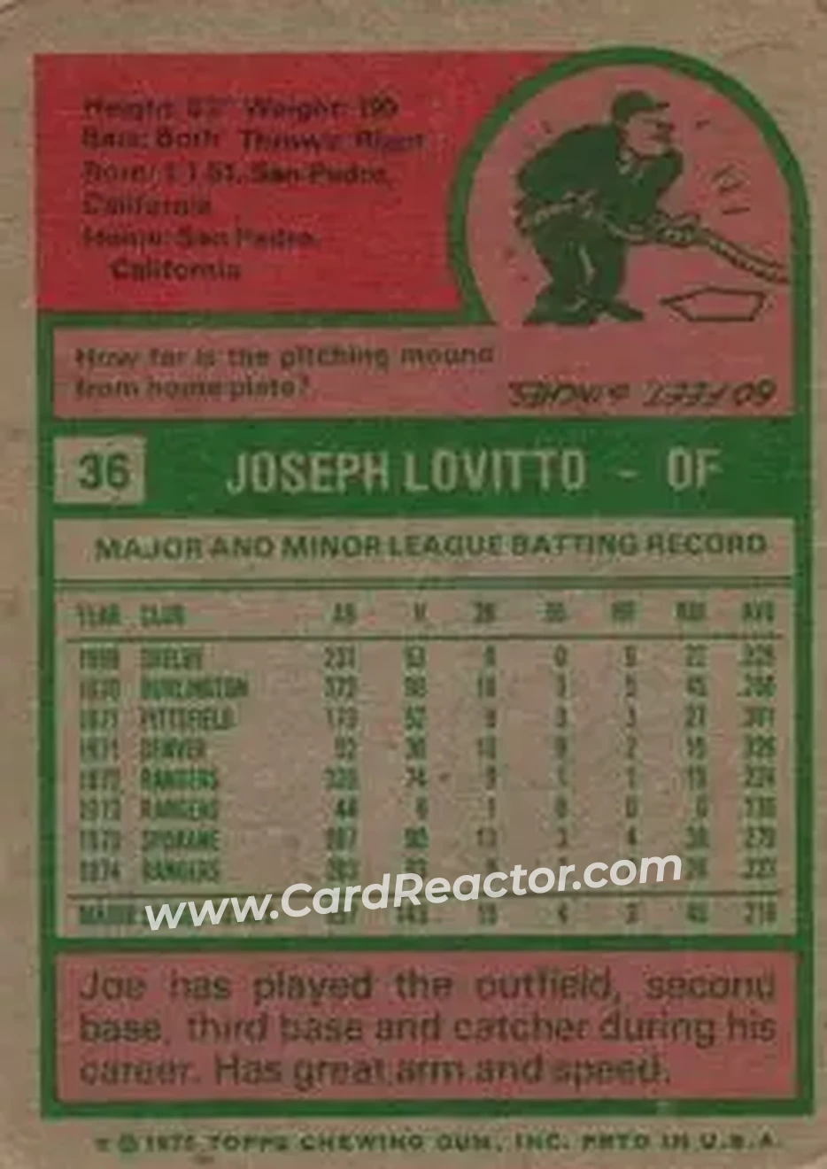 Back of Joe Lovitto