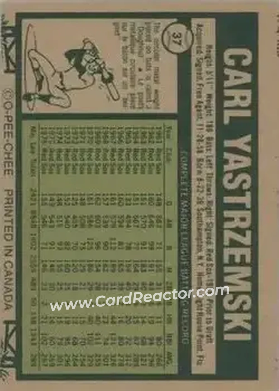 Back of Carl Yastrzemski
