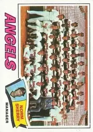 1977 Topps #34 Card #34