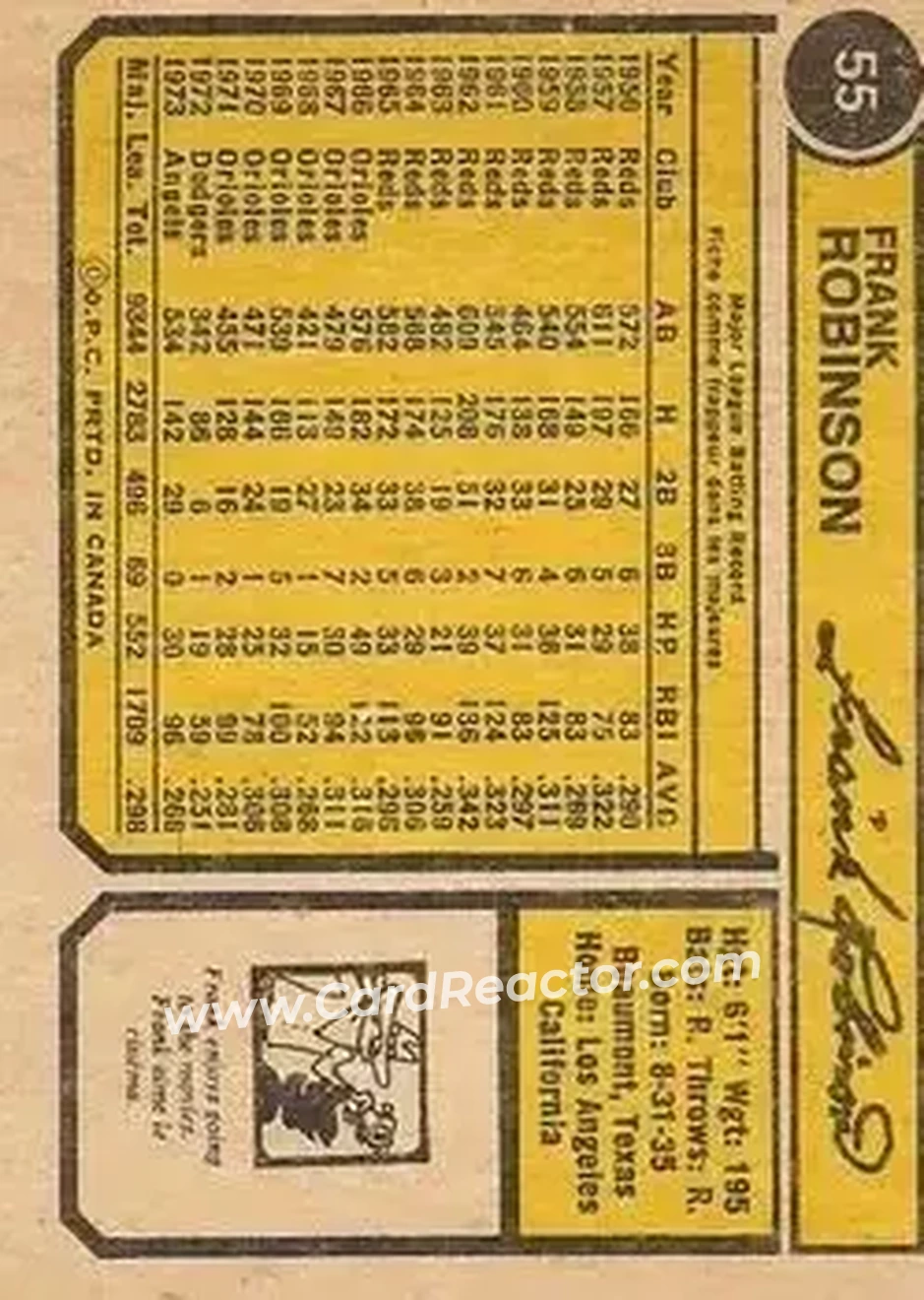 Back of Frank Robinson