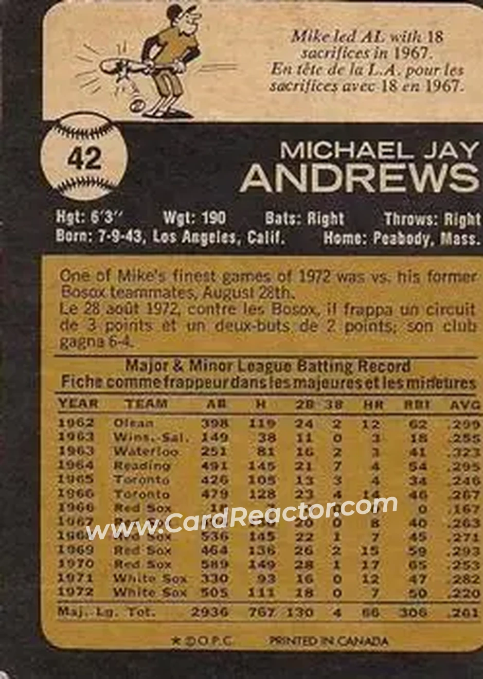 Back of Mike Andrews