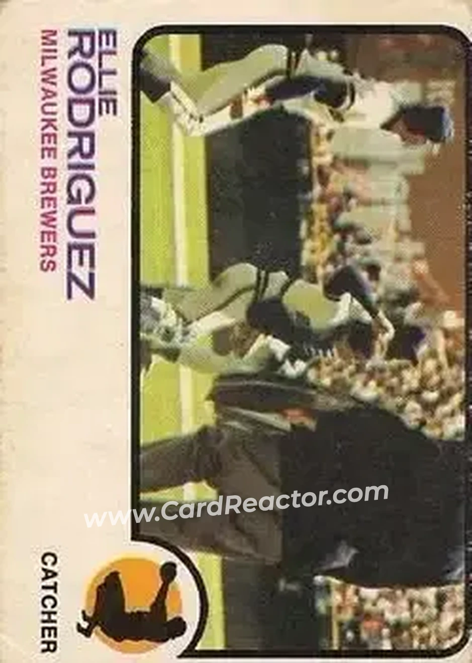 Front of Ellie Rodriguez