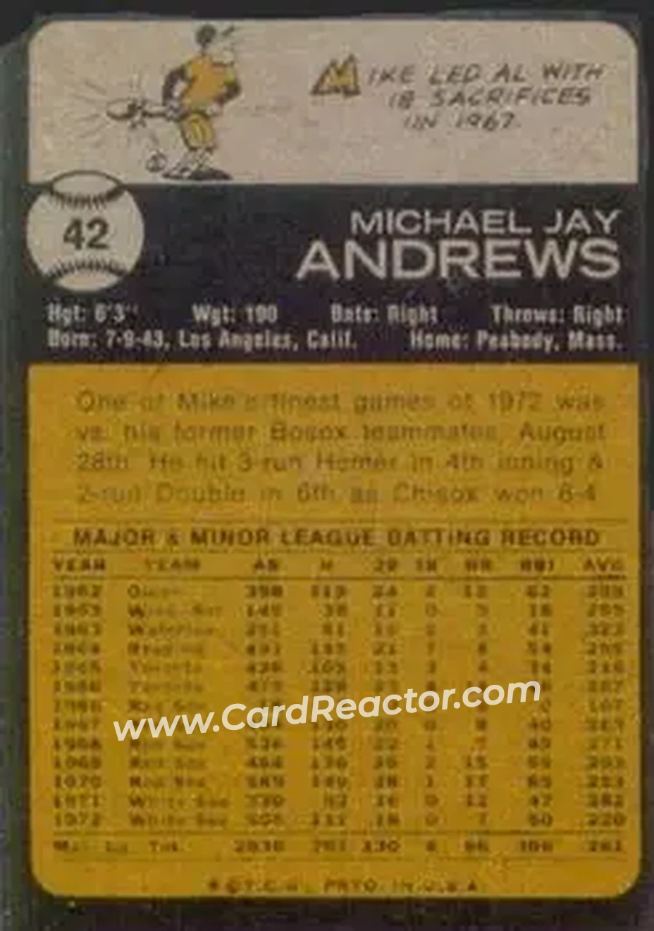 Back of Mike Andrews