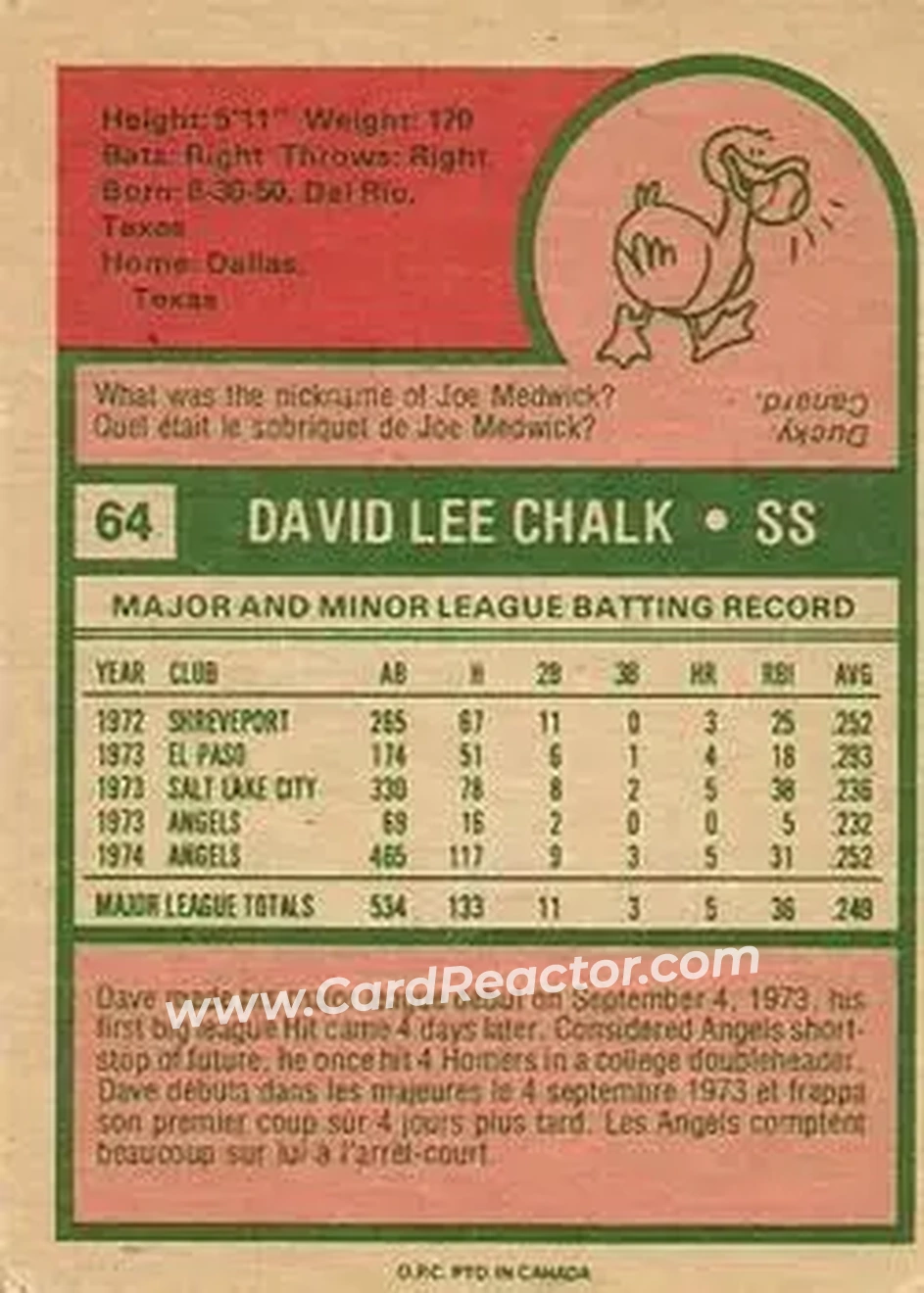Back of Dave Chalk