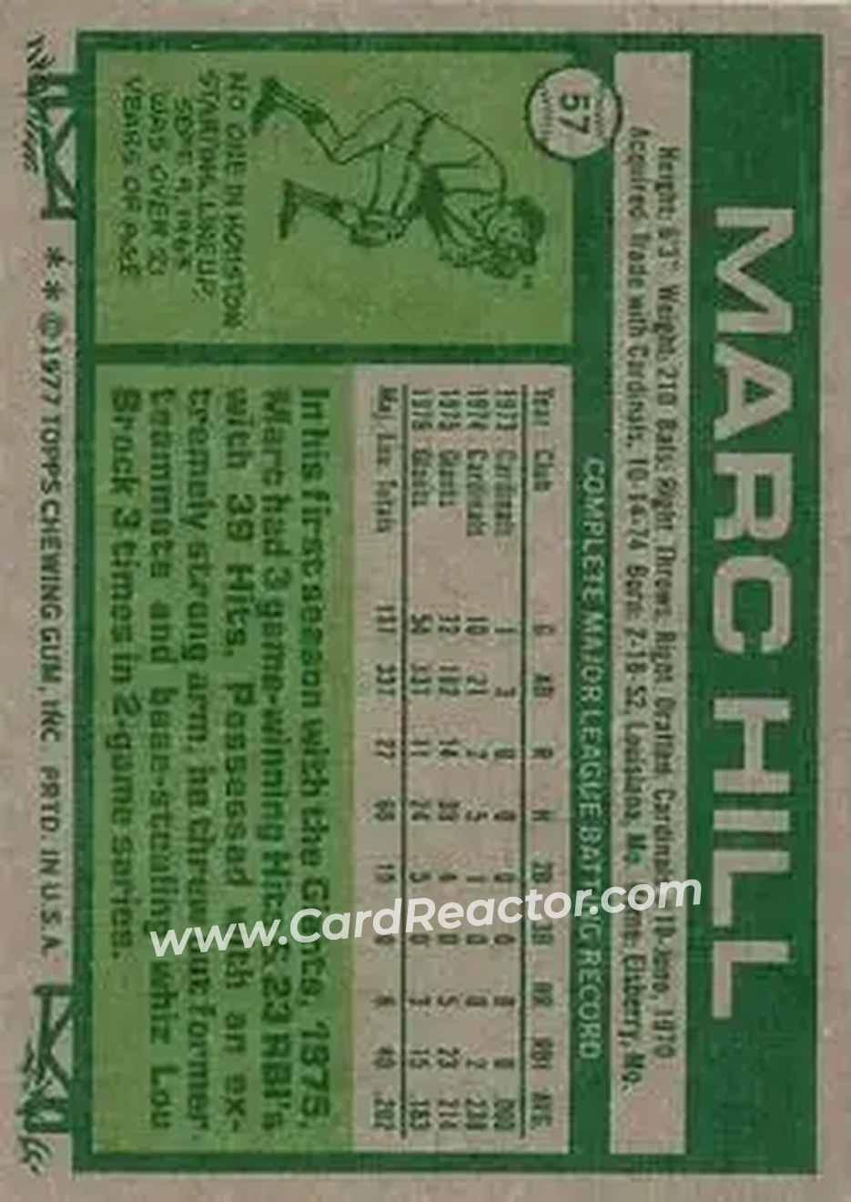 Back of Marc Hill