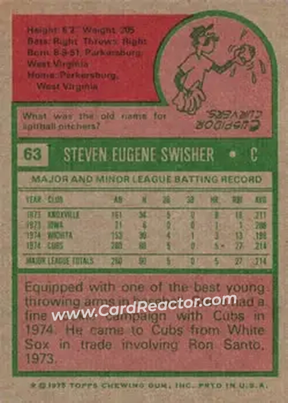 Back of Steve Swisher