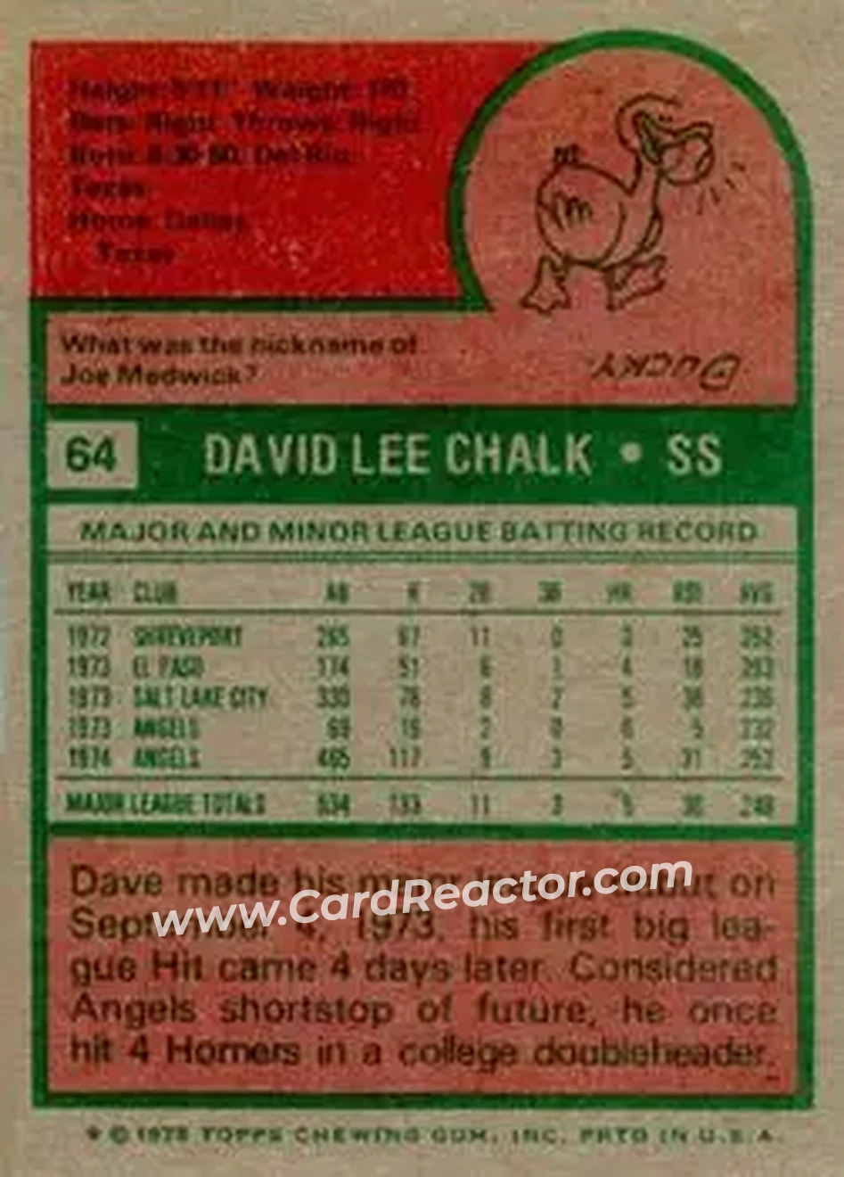 Back of Dave Chalk