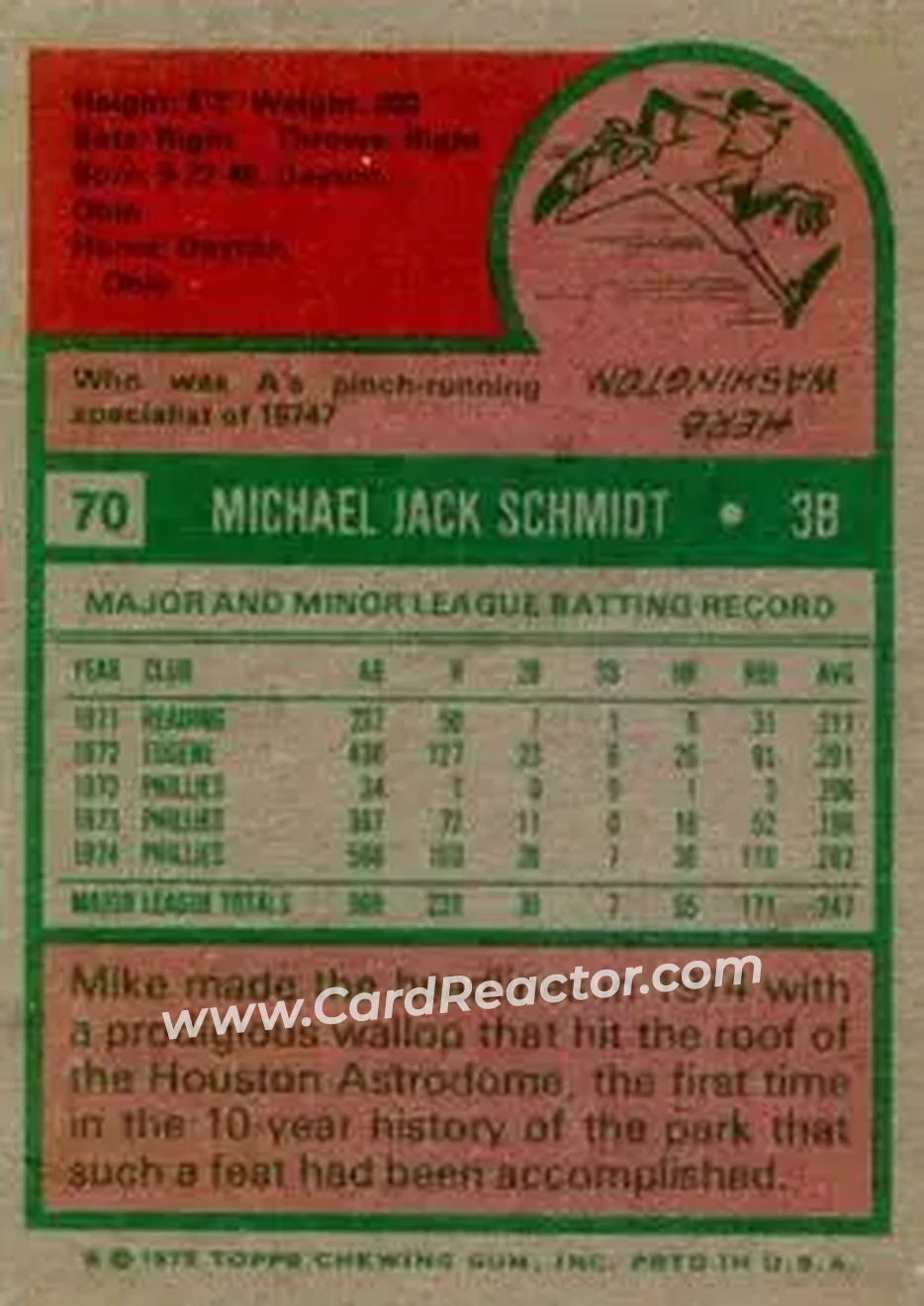 Back of Mike Schmidt