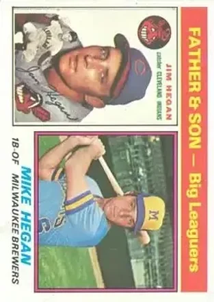1976 Topps #69 Card #69