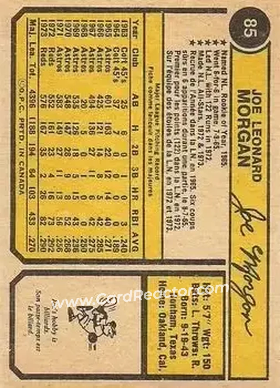 Back of Joe Morgan