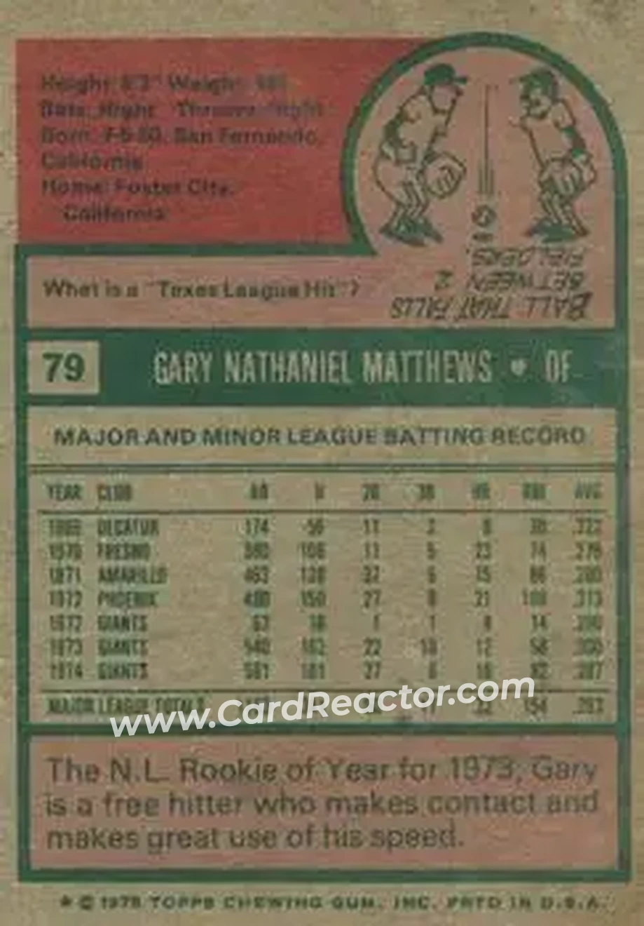 Back of Gary Matthews
