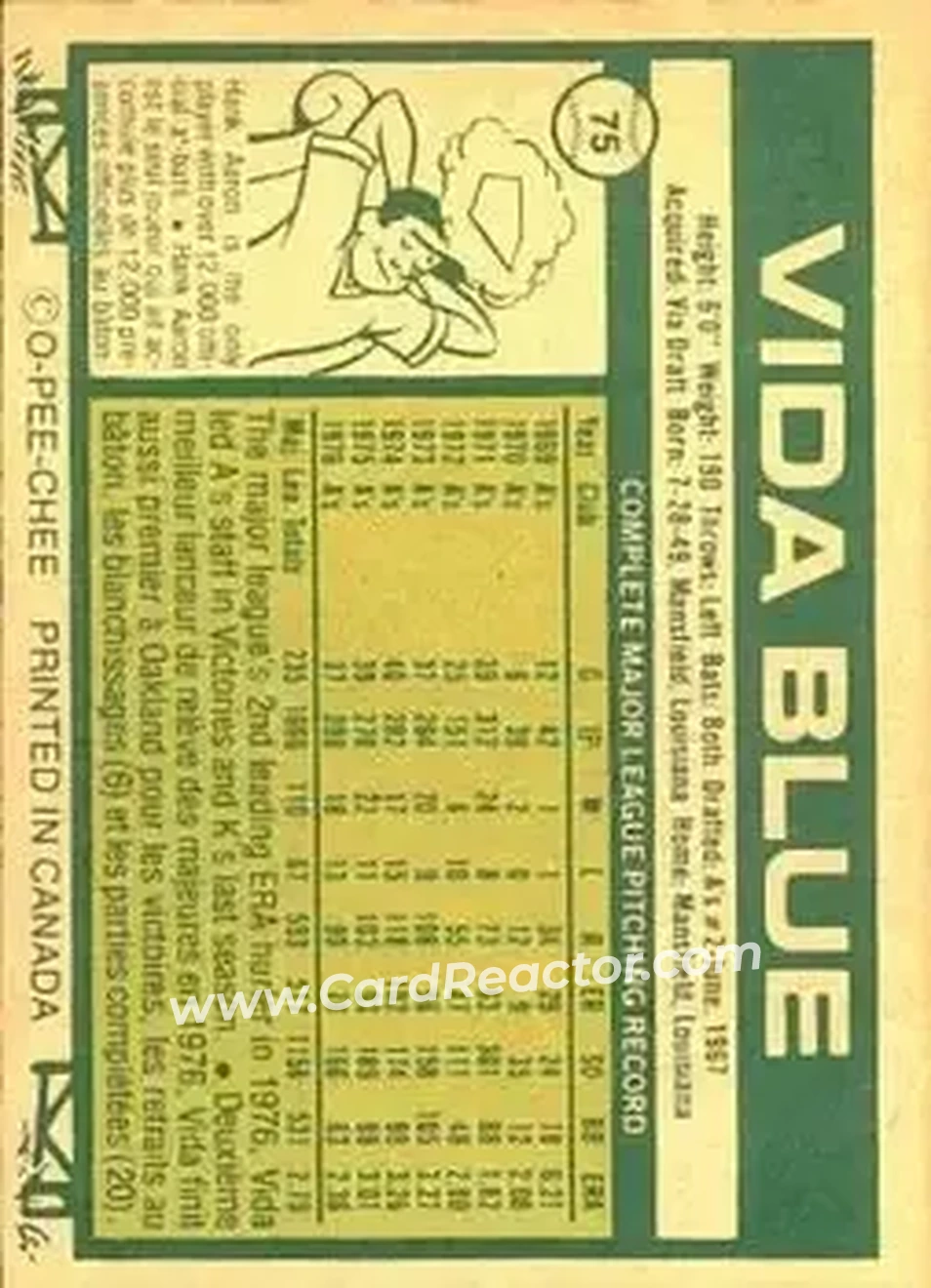 Back of Vida Blue