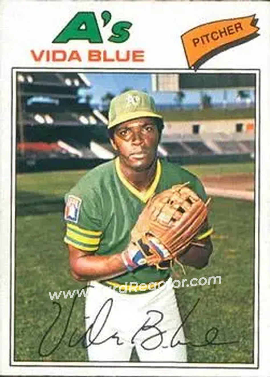 Front of Vida Blue