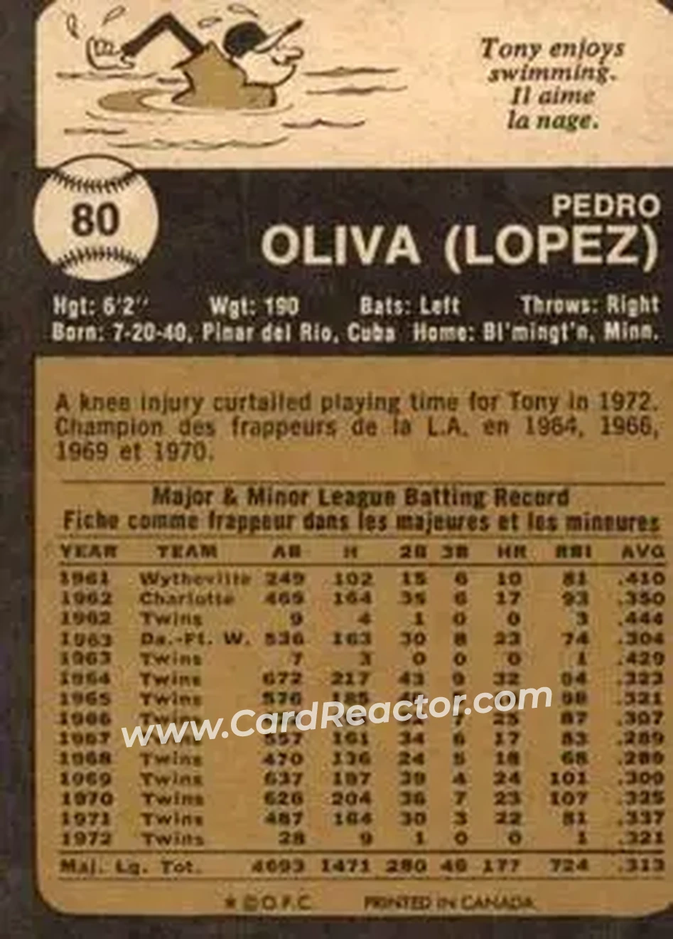 Back of Tony Oliva