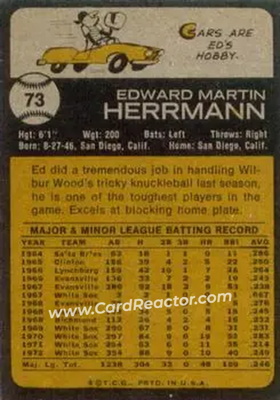 Back of Ed Herrmann