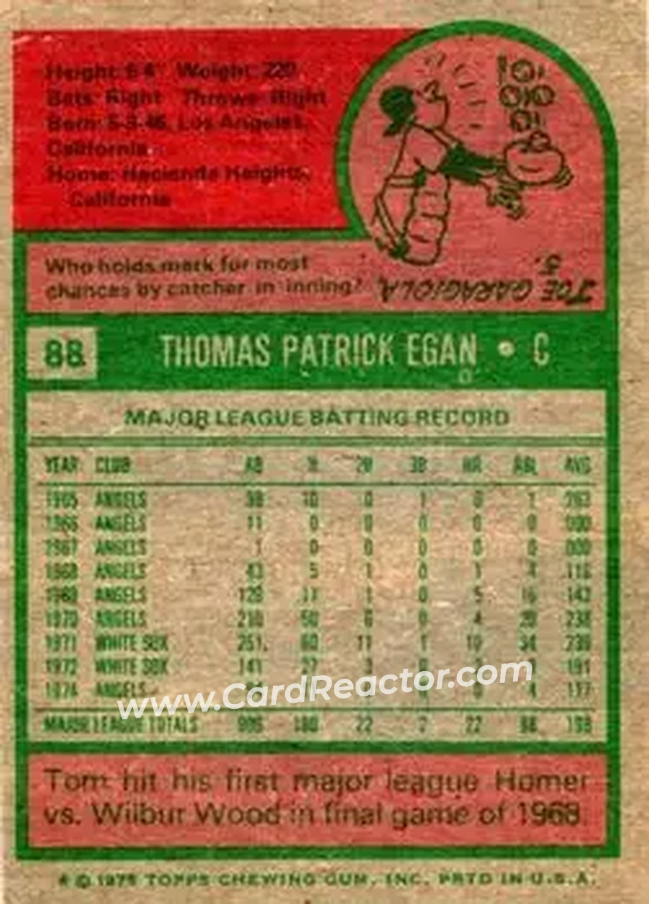 Back of Tom Egan