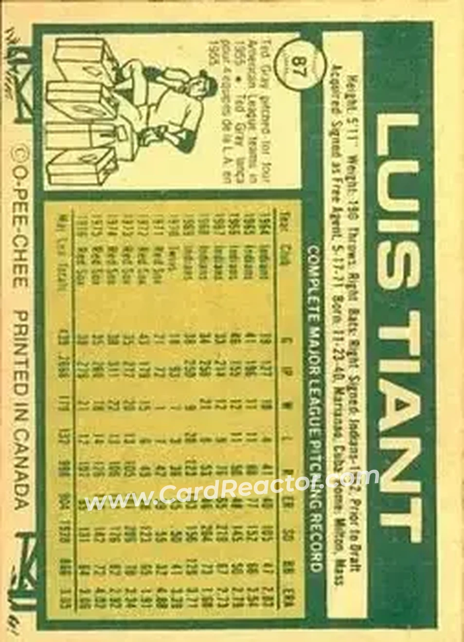Back of Luis Tiant