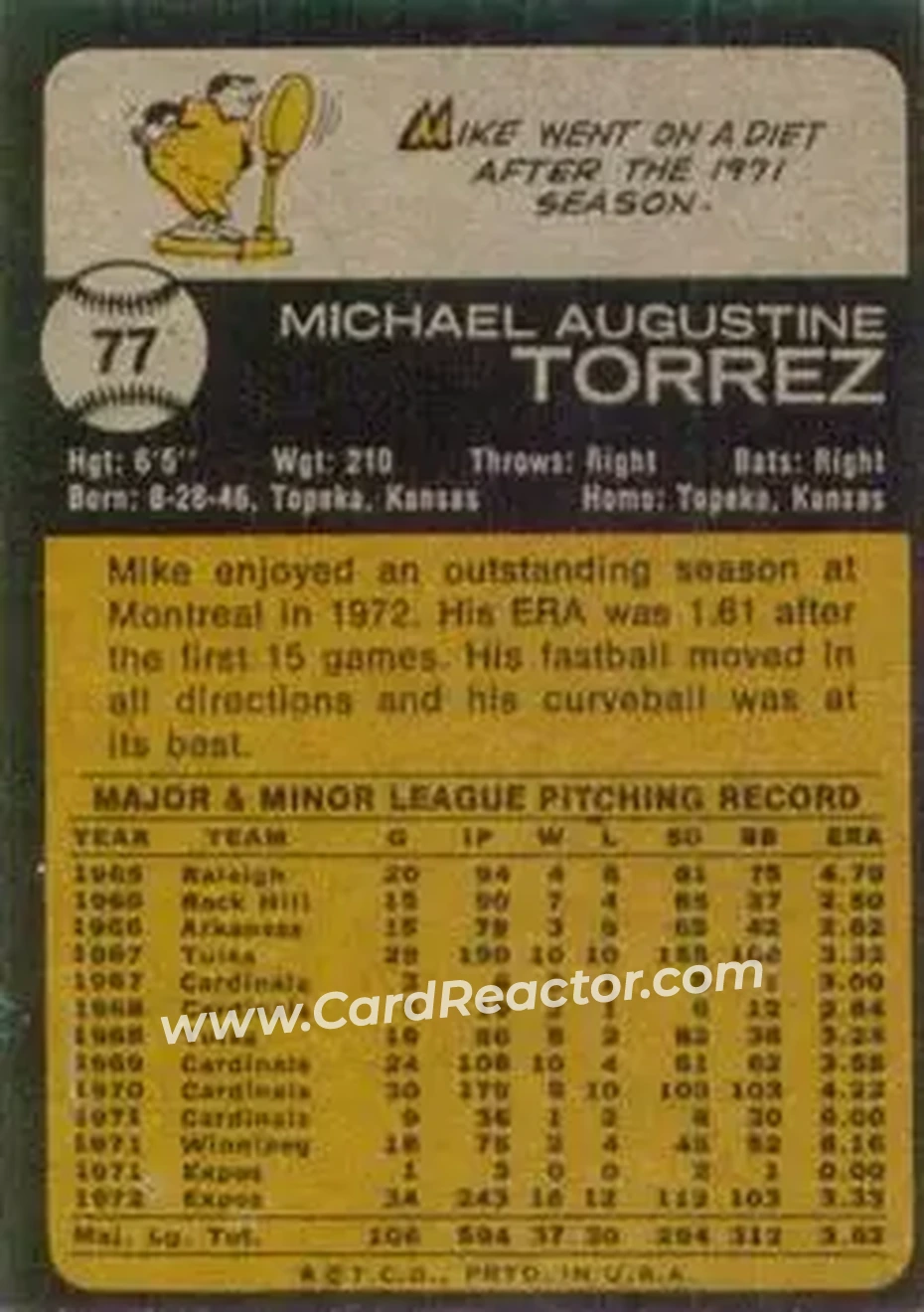 Back of Mike Torrez