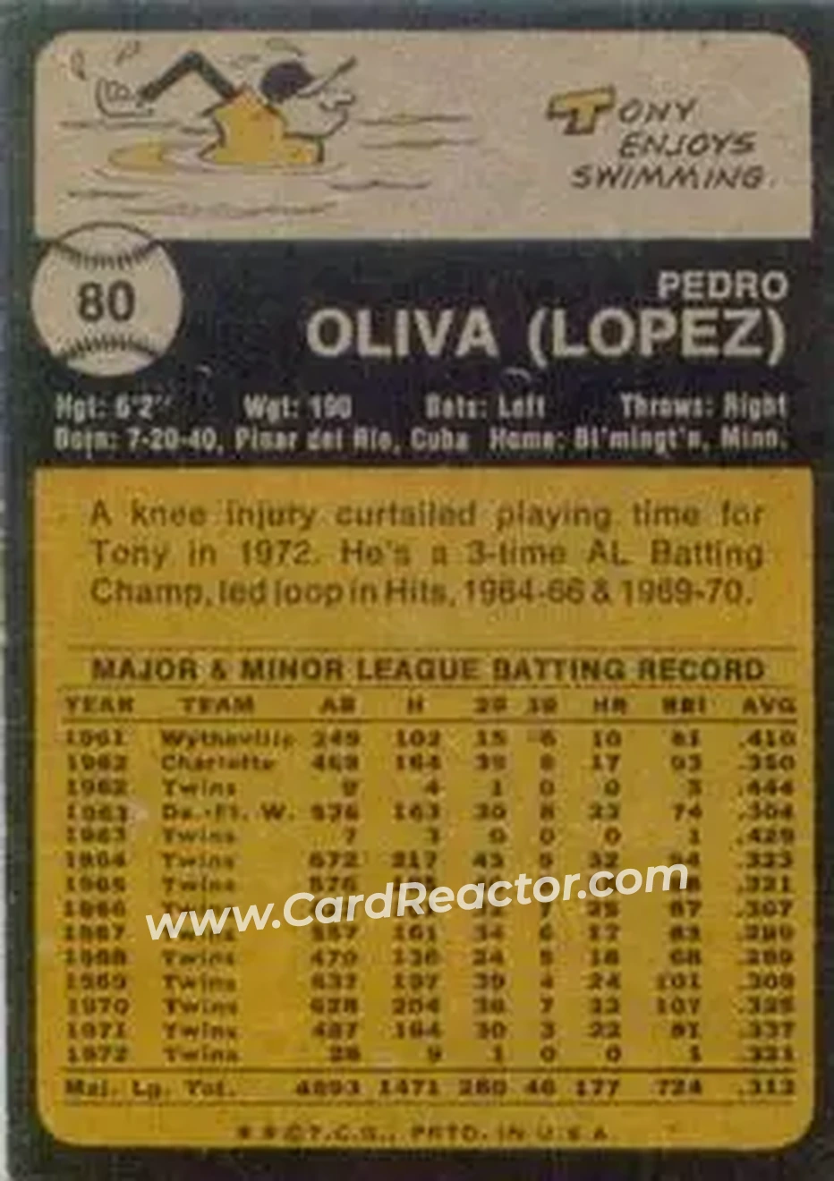 Back of Tony Oliva