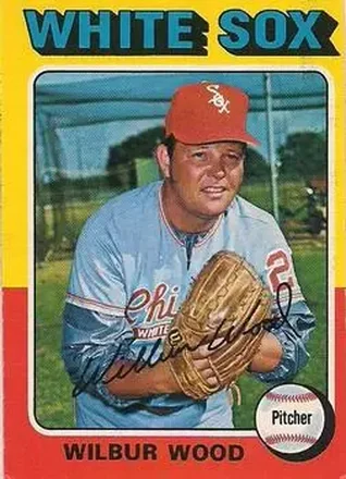 1975 O-Pee-Chee #110 Wilbur Wood