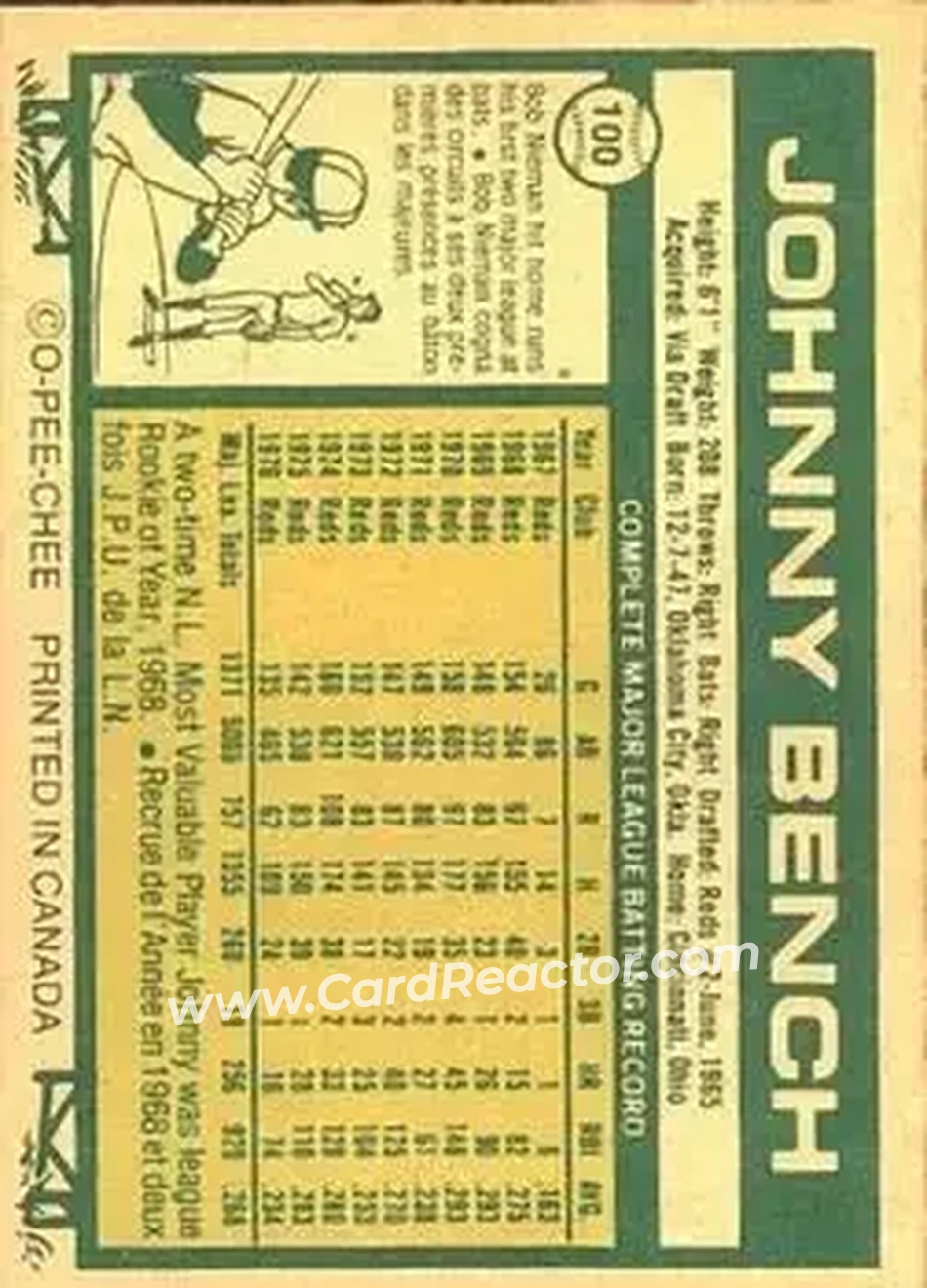 Back of Johnny Bench