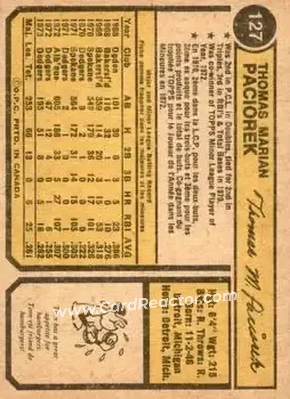 Back of Tom Paciorek