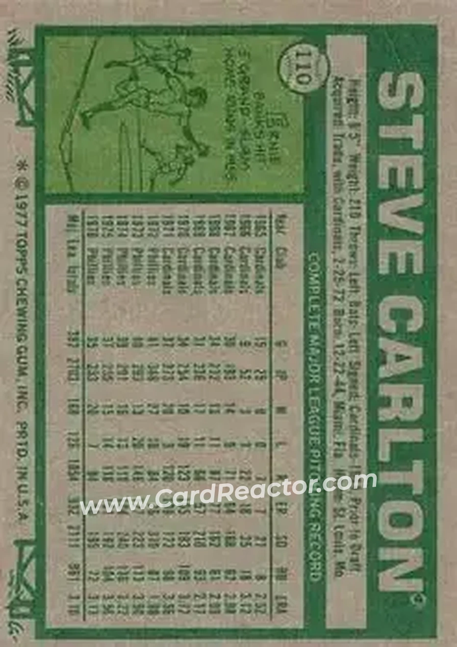 Back of Steve Carlton