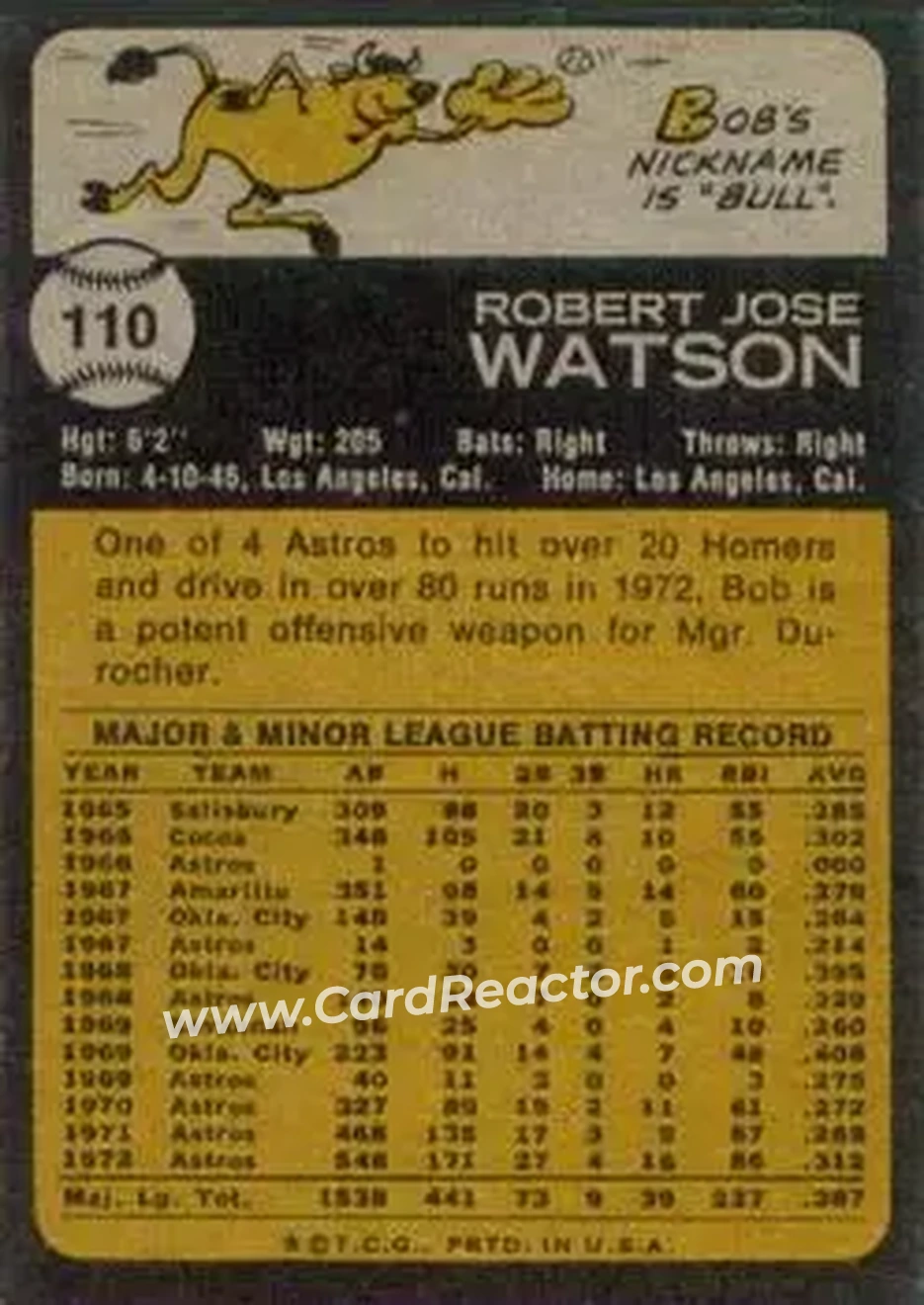 Back of Bob Watson