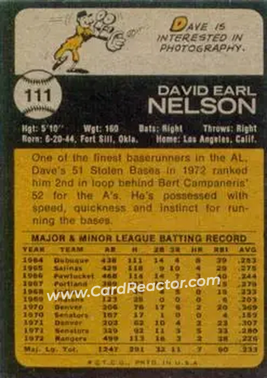 Back of Dave Nelson
