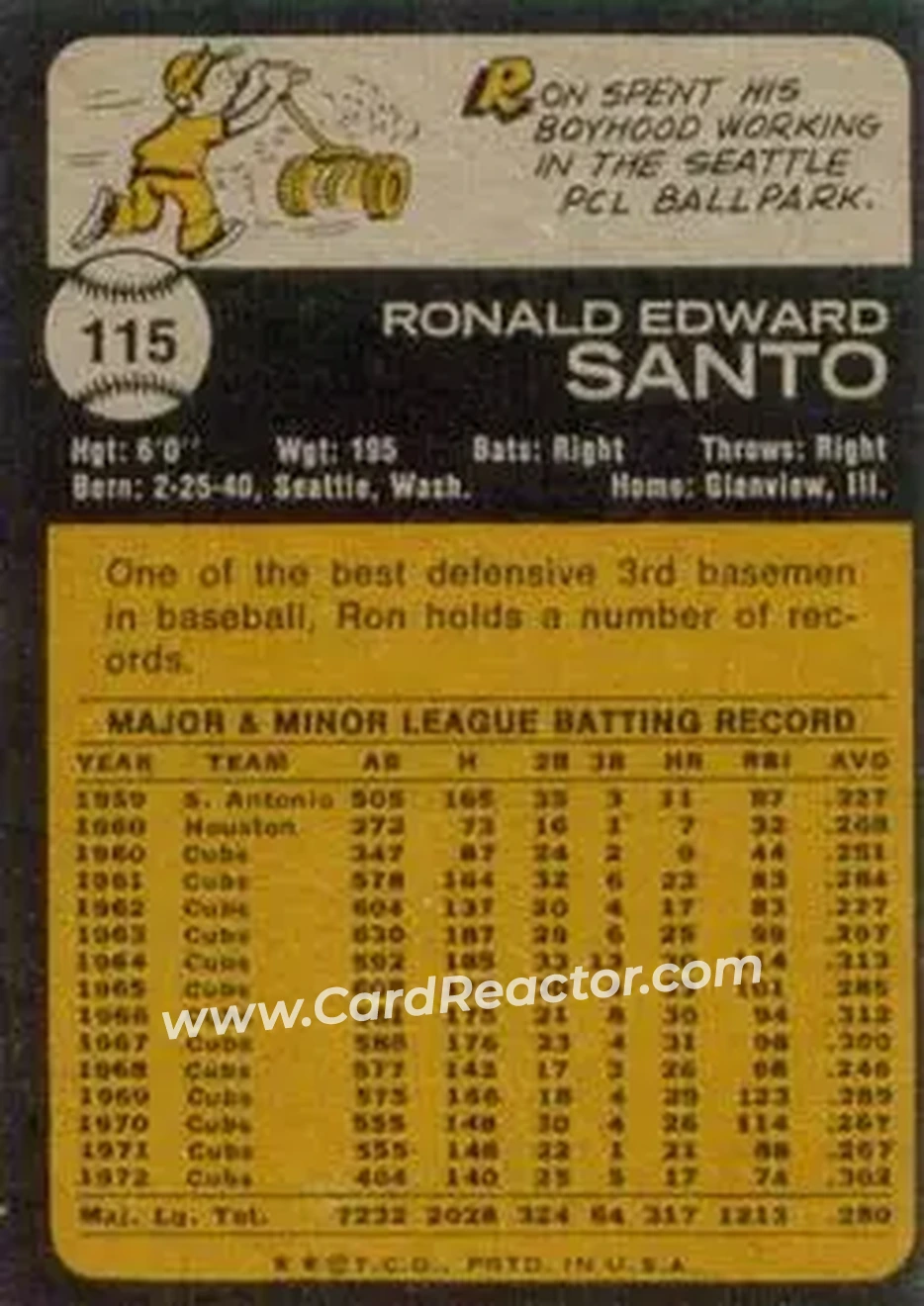 Back of Ron Santo