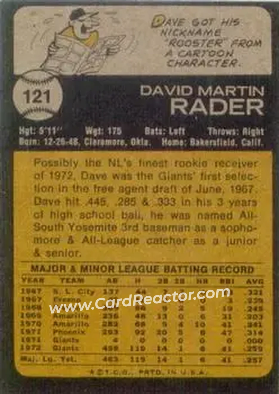 Back of Dave Rader