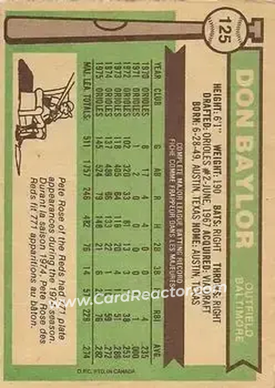 Back of Don Baylor