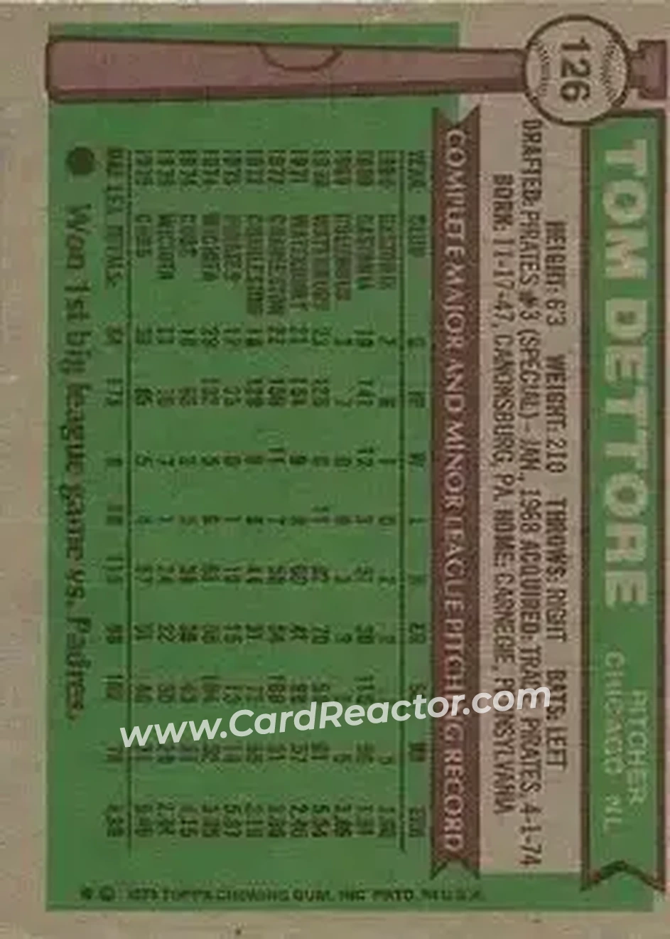Back of Tom Dettore