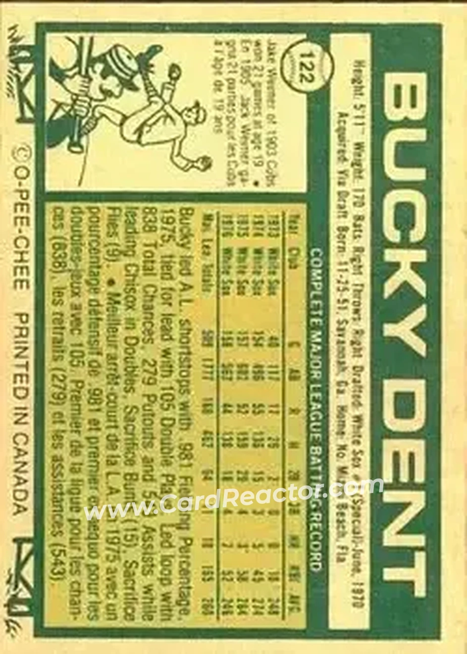 Back of Bucky Dent